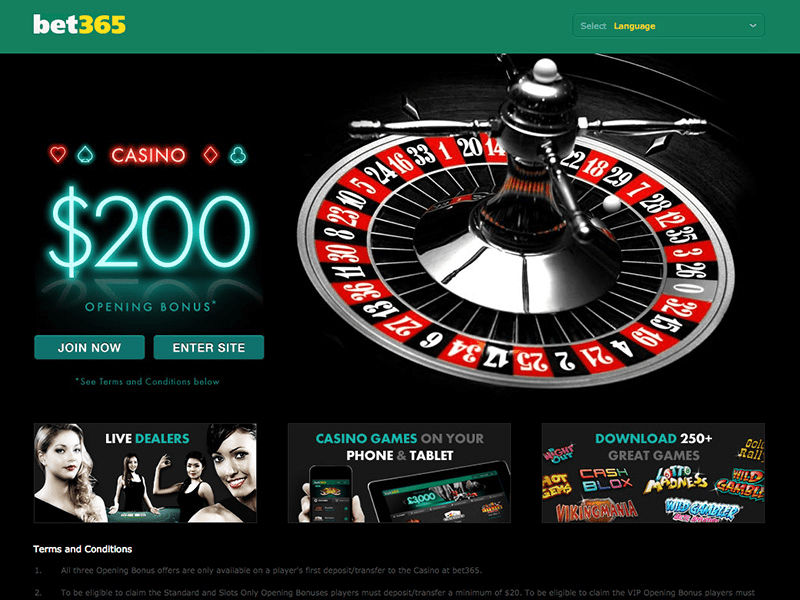 bet365 online casino download