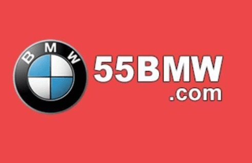 BMW55 logo